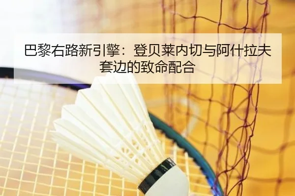 ba-li-you-lu-xin-yin-qing-deng-bei-lai-nei-qie-yu-a-shen-la-fu-tao-bian-de-zhi-ming-pei-he-2-237.jpg