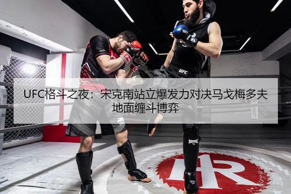 ge-dou-zhi-ye-song-ke-nan-zhan-li-bao-fa-li-dui-jue-ma-ge-mei-duo-fu-di-mian-chan-dou-bo-yi-3-432.jpg
