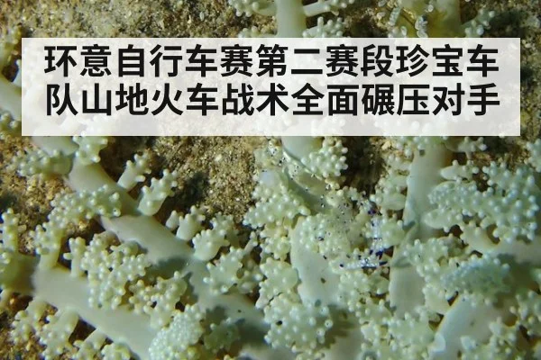 环意自行车赛第二赛段珍宝车队山地火车战术全面碾压对手